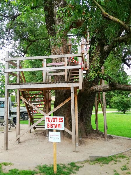 Uz laiku slēgta mājiņa kokā Maija parkā