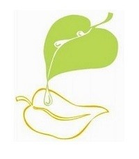 Deinstitucionalizācija – iekļaujošākai sabiedrībai