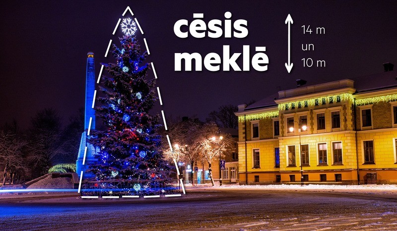 Iedzīvotāji aicināti palīdzēt atrast Cēsu Ziemassvētku egles