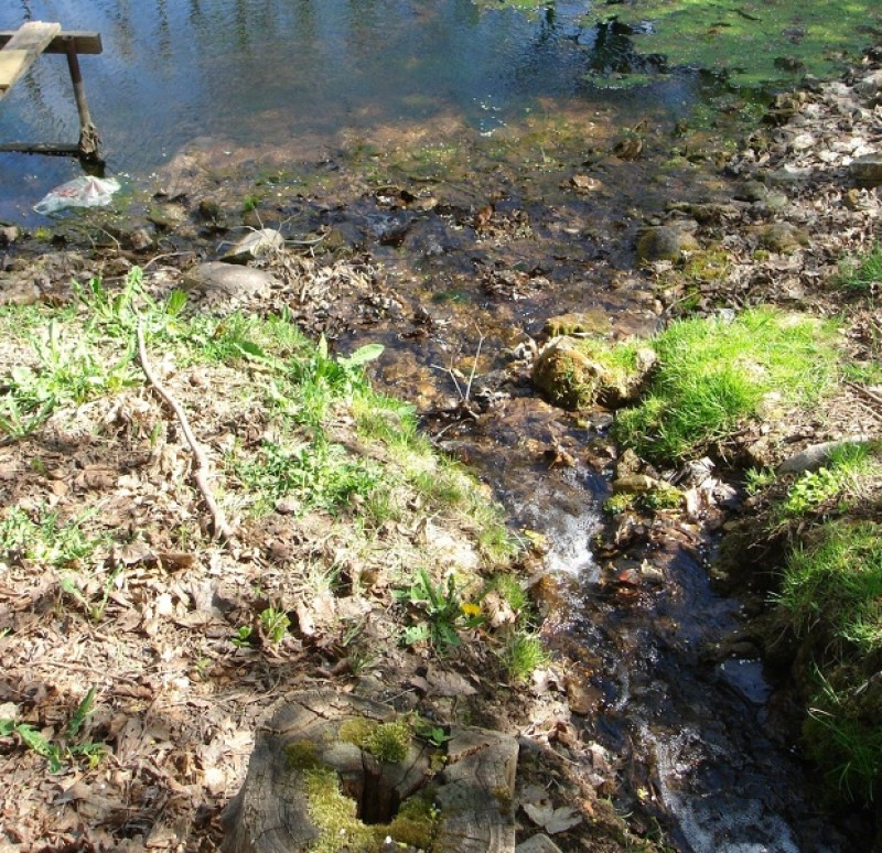 Veiktas ūdens analīzes Cēsu novada avotiem