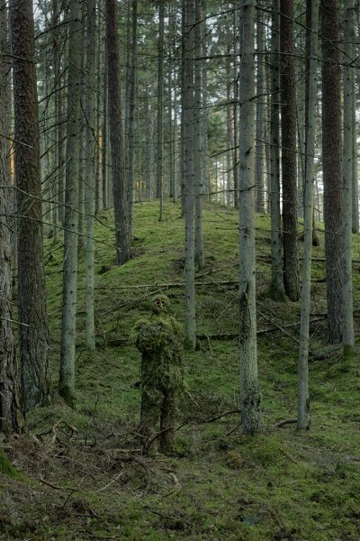 Piedalies projektā "Latvijas dabas bagātības"