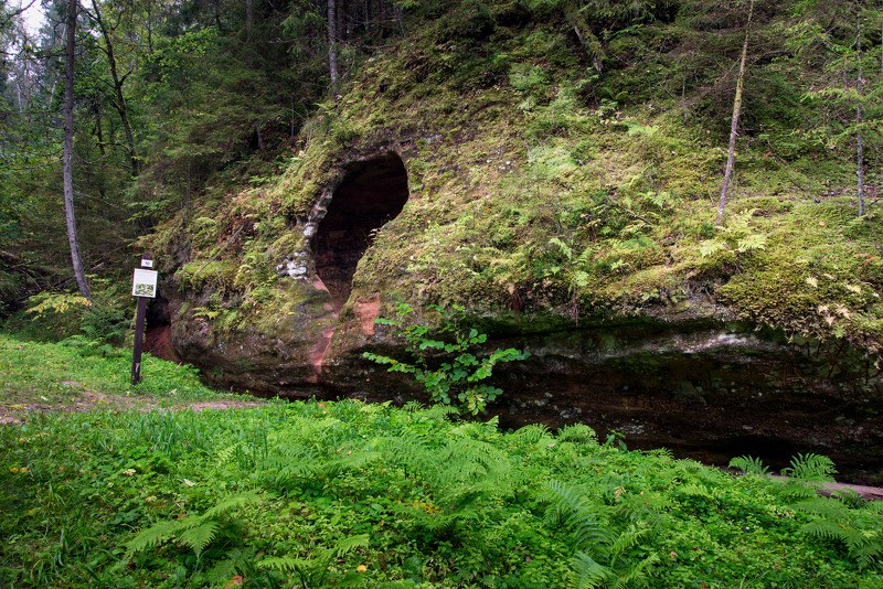 Cēsu novadā atjaunos un papildinās dabas taku infrastruktūru