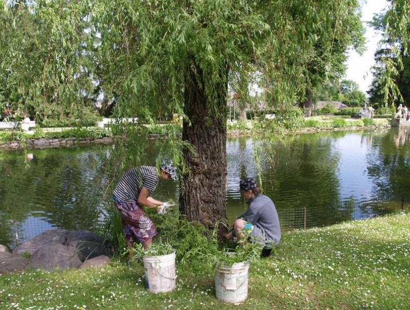 Praksei vasarā trīs stundās piesakās 168 skolēni; reģistrācija slēgta