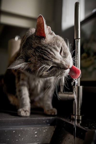 Krāna ūdens Cēsīs atkal drošs patēriņam bez vārīšanas