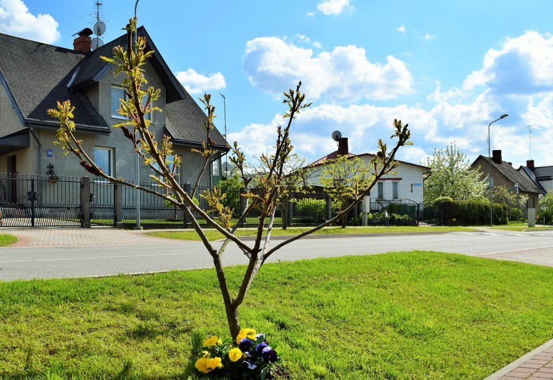 Iedzīvotāji aicināti sakopt pilsētu Cēsu 810 gadei