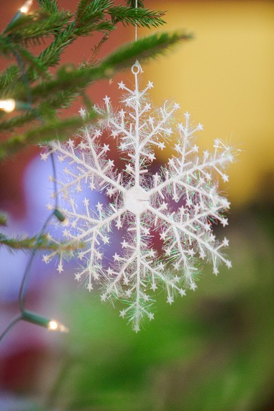 EKO laukumi – ērta vieta, kur nogādāt egles pēc svētkiem