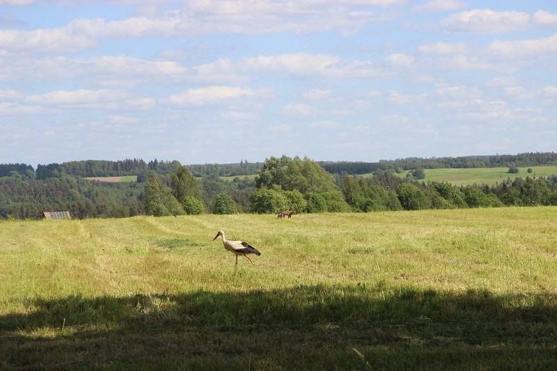 Cēsu novadā jauns velo maršruts - “Vaives ainavas”