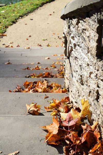 ZAAO rudens lapu akcija