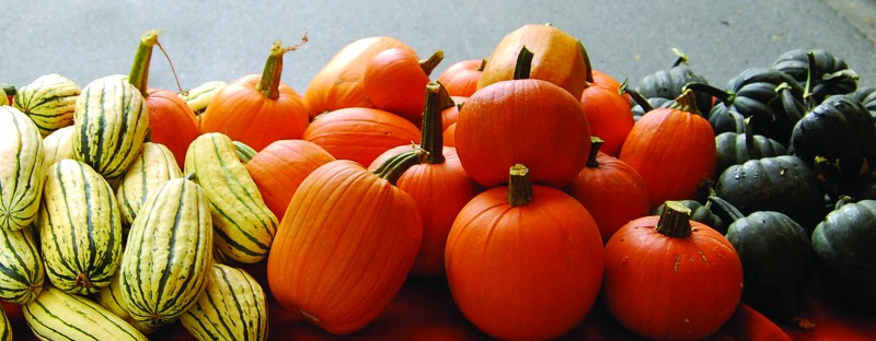 Lauku labumu tirdziņš Vaivē