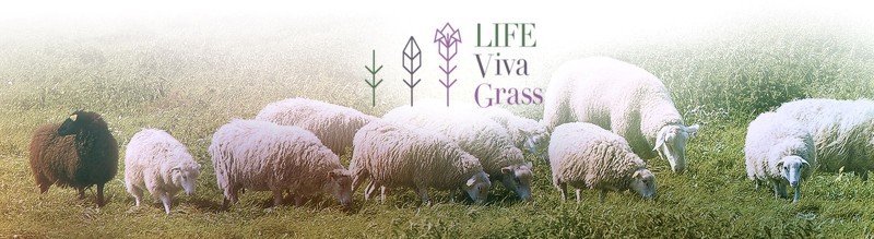 Seminārs-diskusija „Integrēta plānošanas pieeja zālāju apsaimniekošanā”