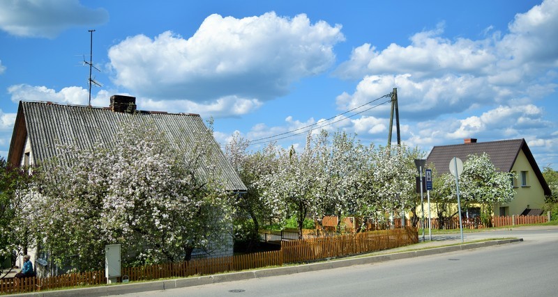 Piesaki konkursam Cēsu skaistāko dārzu, tīrāko ietvi!