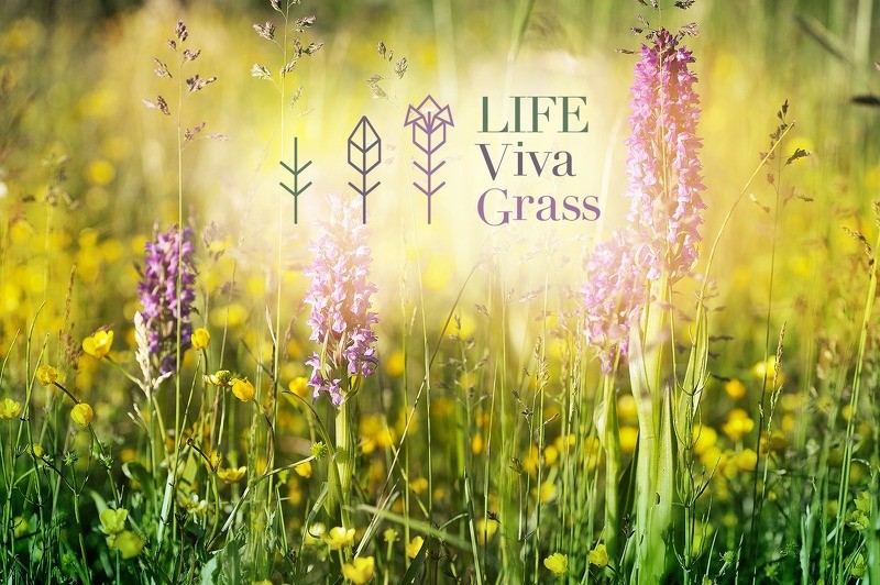 Cēsīm izstrādās ainavu plānu