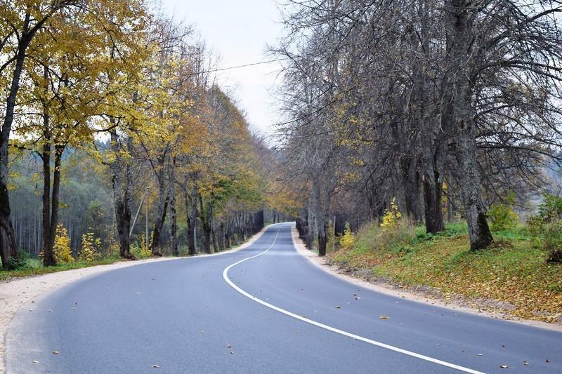 Sakārtots ceļš pie Cēsu robežas