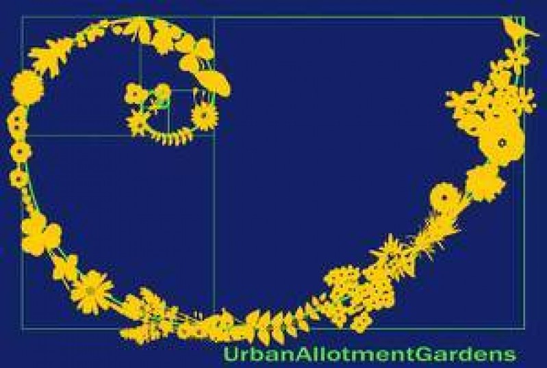 Starptautiska projekta dalībnieki apmeklē Cēsu mazdārziņus