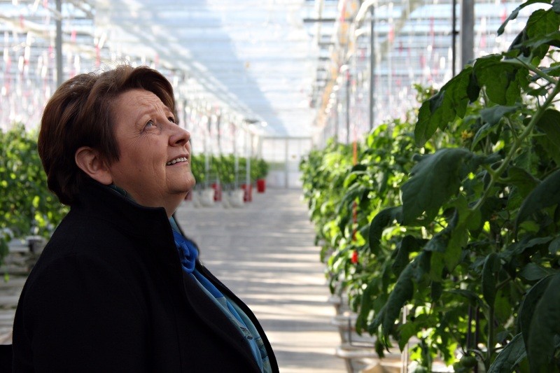 Premjere atbalsta Cēsu attīstības idejas