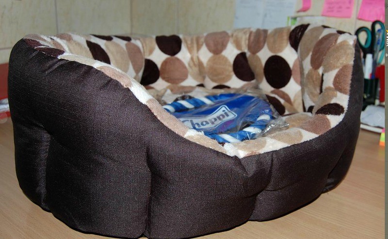 Turpmāk Cēsīs bezmaksas mājdzīvnieku reģistrācija