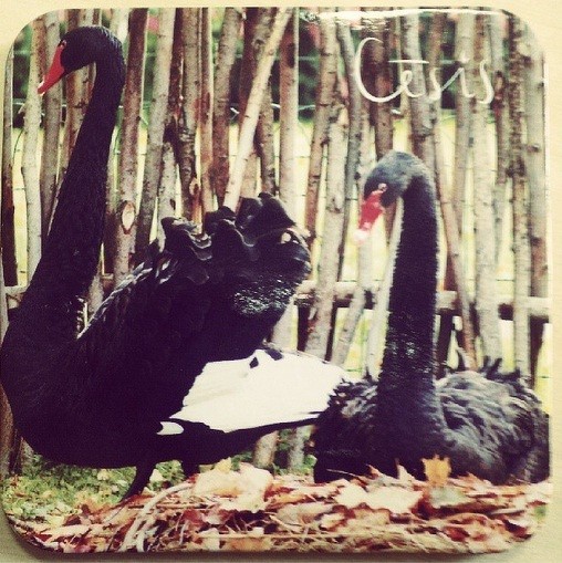 Aicina piedalīties konkursā „Cēsu suvenīrs”