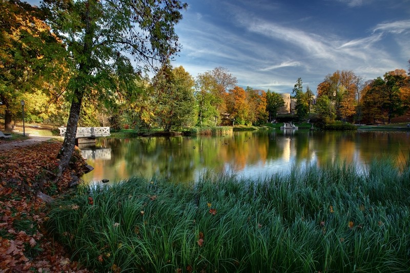 Konkurss par atpūtas un izklaides nodrošināšanu Pils parka dīķī