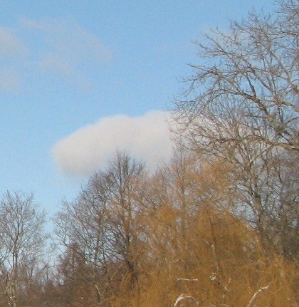 Cēsīs uzsākti apstādījumu kopšanas darbi