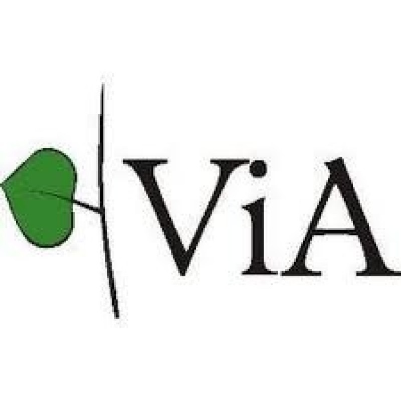 Valmieras, Rīgas un Cēsu novads – visplašāk pārstāvētie Vidzemes Augstskolas studentu vidū