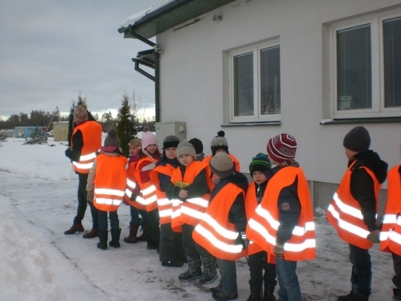 Cēsu pilsētas Pastariņa sākumskolas darbība Ekoskolu programmā