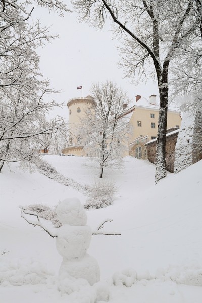 Ziemassvētku eglīte bērniem Cēsīs