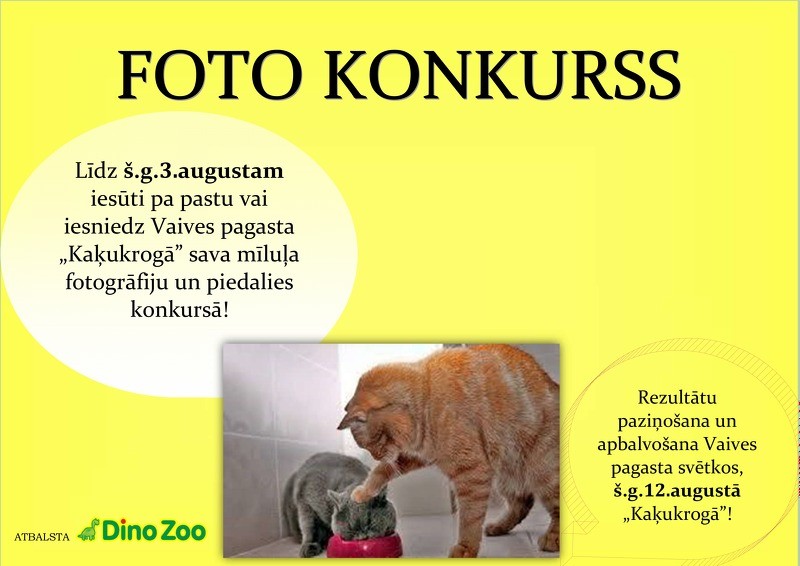 Vaives pagasta svētkos tiks noteikti skaistākie kaķi