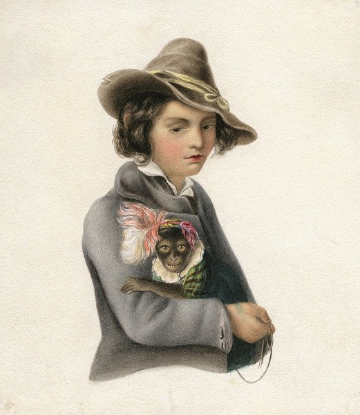 Cēsu Vēstures un mākslas muzejā atklāta izstāde "Kurzemes albums"