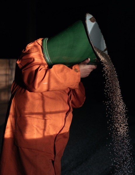 Toma Harjo fotoizstāde „Neredzamie sargi”