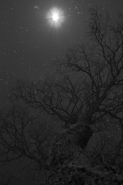 Vaives Ceļmalas izstāžu kamerzālē Modra Skrastiņa izstāde "Foto Zibšņi"