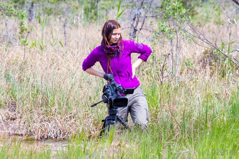 Leldes Gobas fotoizstāde "Zvannieki"