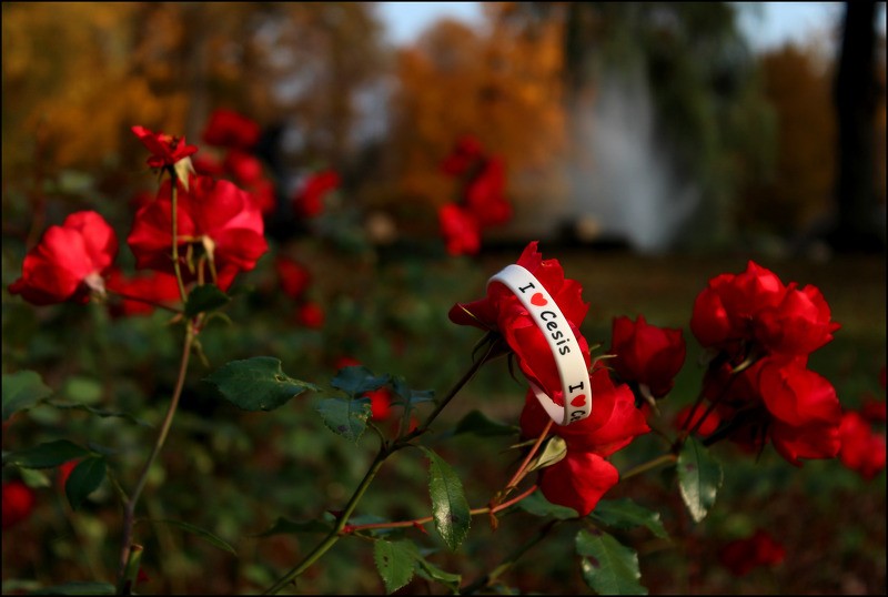 Cēsīs skatāma fotoizstāde „Cēsis stāsta stāstus”.