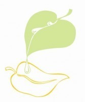 Aicinām piedalīties Sociālā dienesta klientu aptaujā