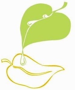 Zināmi NVO sociālo jomu projektu konkursa rezultāti