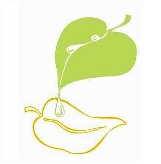 Aicinām pieteikties malkas un mācību piederumu iegādes pabalstam