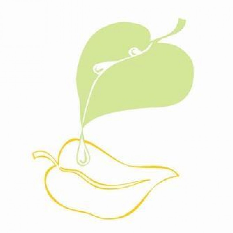 Pabalsts mācību piederumu iegādei – atbalsts ģimenēm ar bērniem !