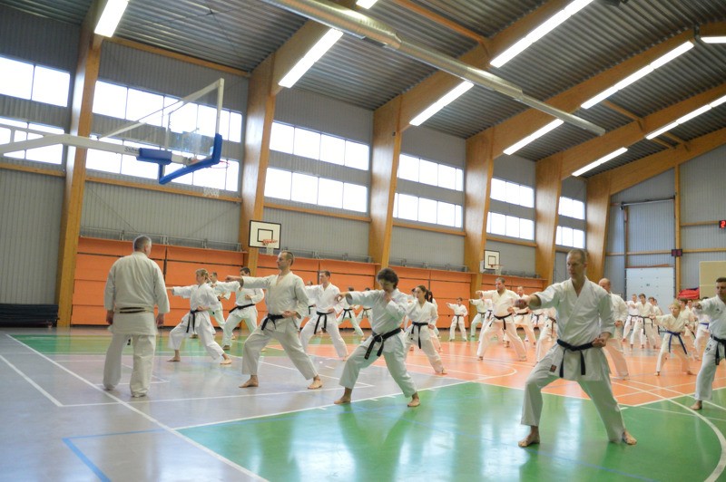 Aizvadīts starptautisks karatē pasākums