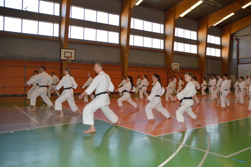 Notikušas Starptautiskās tradicionālā karatē klubu alianses nodarbības