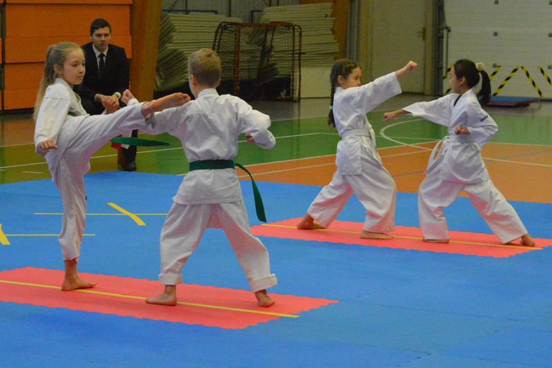Cēsu karate kluba čempionāts tradicionālajā karatē
