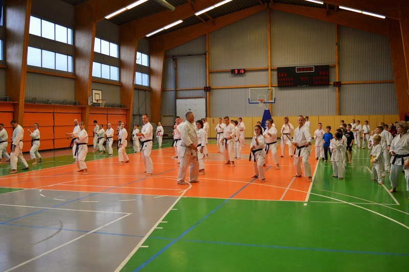 Aizvadīts Starptautiskās tradicionālā karatē klubu alianses treniņš