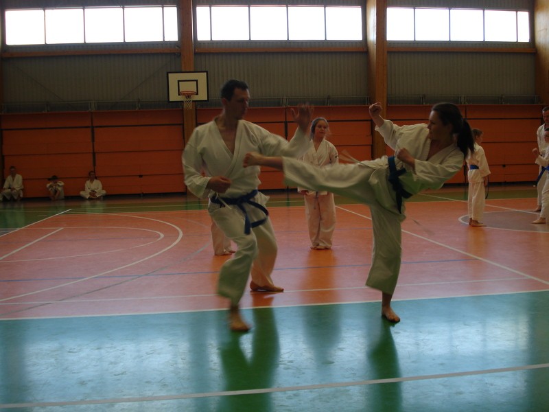 Aizvadītas karatē nodarbības karatē meistara vadībā