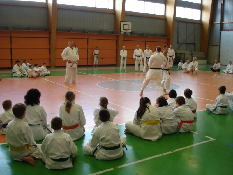 Čempionāts tradicionālajā karatē