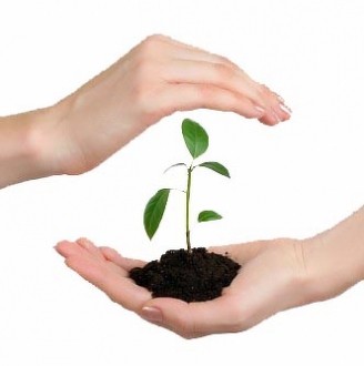 Neformālās izglītības centra „FORTE”organizētās apmācības augu aizsardzības līdzekļu lietotājiem Priekuļos 2018.gadā