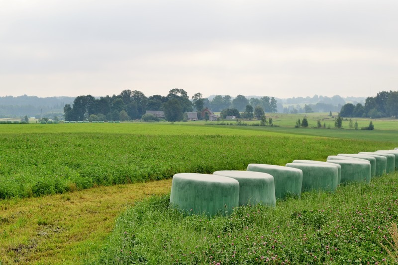 Atbalsts dalībai bioloģiskās lauksaimniecības shēmā