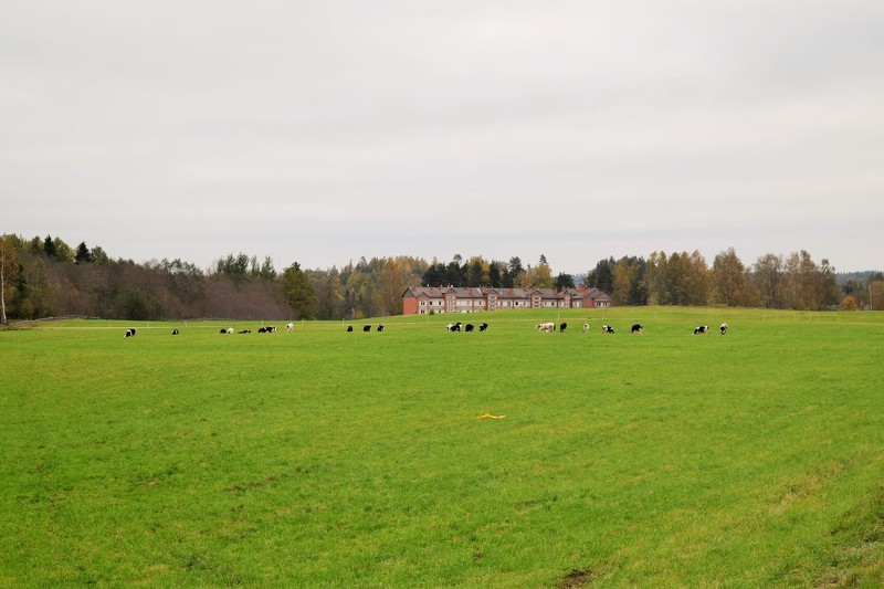 Atbalsts dalībai aizsargātu ģeogrāfiskās izcelsmes norāžu, cilmes vietas nosaukumu vai garantētu tradicionālo īpatnību shēmā
