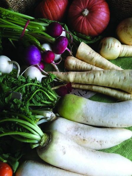 Aicina apzināt un saglabāt Latvijas augu ģenētiskos resursus