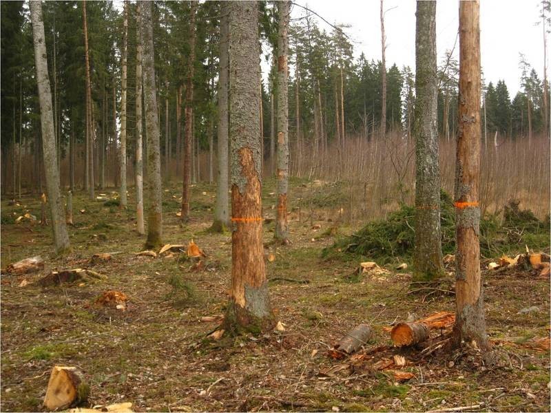Ziemeļvidzemes MKPC nodaļas rīkotais informatīvais seminārs