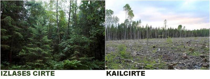 Seminārs privāto mežu īpašniekiem demonstrējumu teritorijā „Kalna Gavieši”