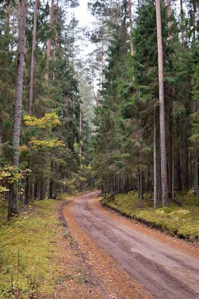 Seminārs mežu īpašniekiem
