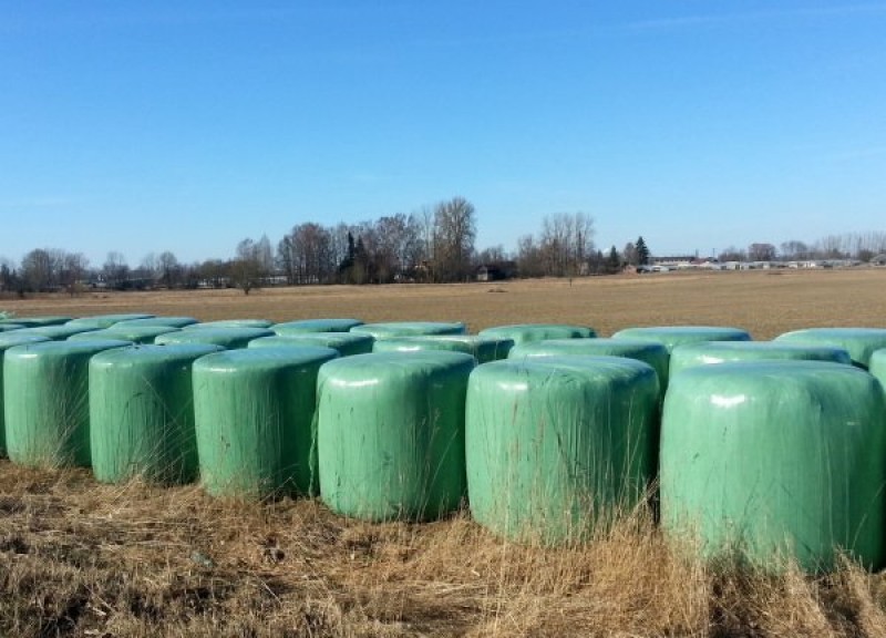 SIA ZAAO nodrošina lauksaimniecībā izmantoto skābbarības ruļļu plēvju bezmaksas savākšanu
